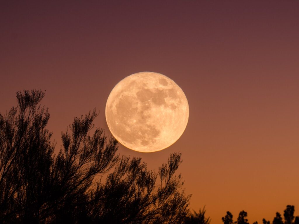 All the Full Moon Dates in 2021 for your calendar | The ...