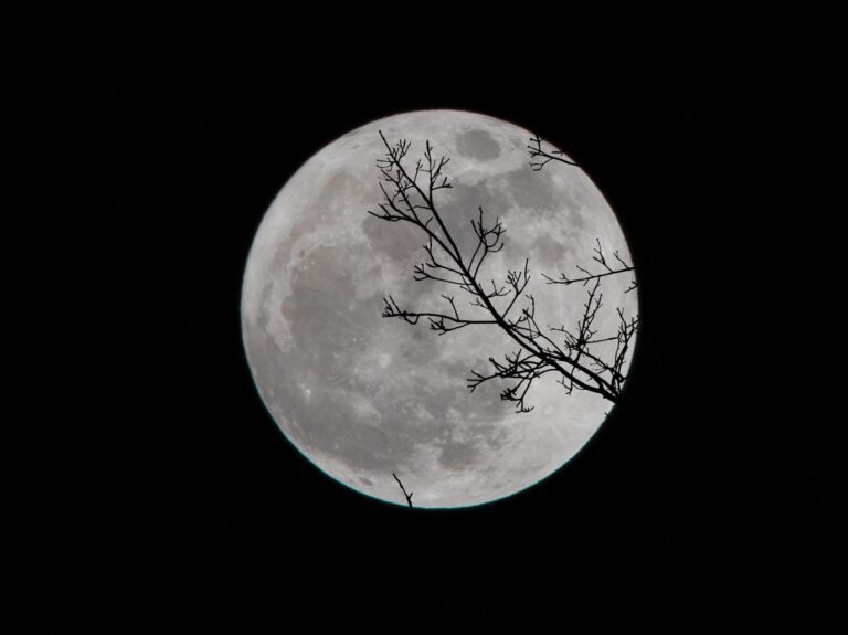 All the Full Moon Dates in 2021 for your calendar | The ...